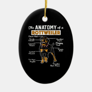 The Anatomy Of A Rottweiler   Cool Dog Lover Ceramic Ornament