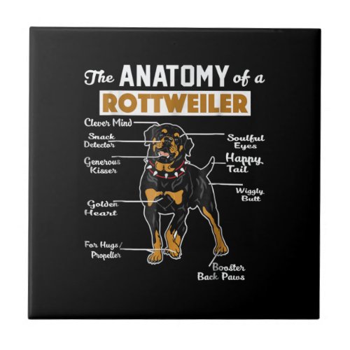 The Anatomy Of A Rottweiler  Cool Dog Lover Ceramic Tile