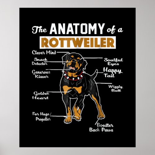 The Anatomy Of A Rottweiler  Cool Dog Lover Poster