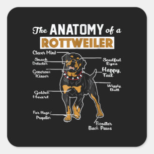 The Anatomy Of A Rottweiler Cool Dog Lover Square Sticker