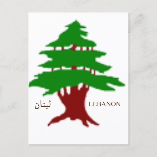 The Ancient Cedar of Lebanon  Post Card