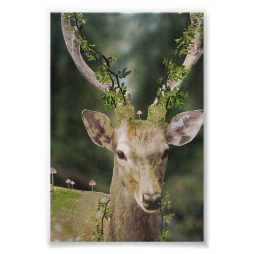 The Ancient Deer in the forest Photo Print