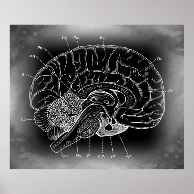 THE ANCIENT MYSTERIOUS BRAIN POSTER (Front)