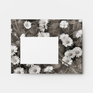 The Ancient of Daisies Envelope