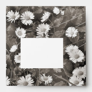 The Ancient of Daisies Envelope