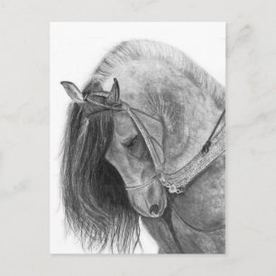 The Andalusian Postcard