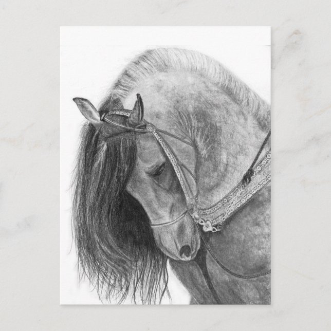 The Andalusian Postcard (Front)