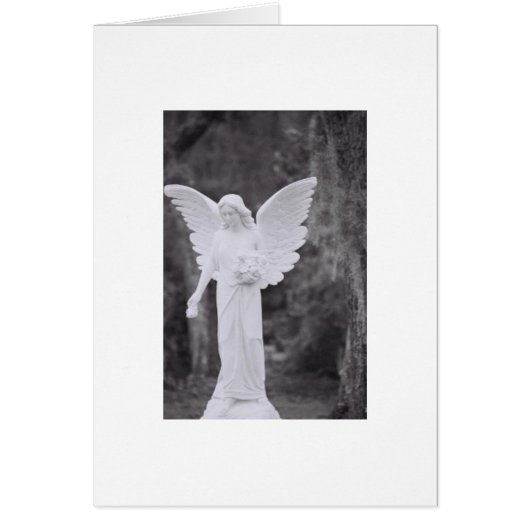 The Angel Cards (Front)