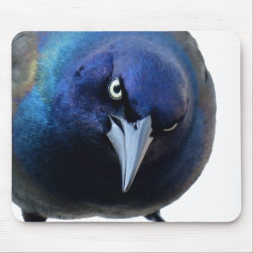 The Angry Grackle Mouse Pad