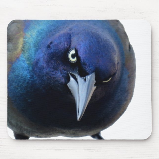 The Angry Grackle Mouse Pad (Front)