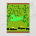 The Ant And The Grasshopper Postcard at Zazzle