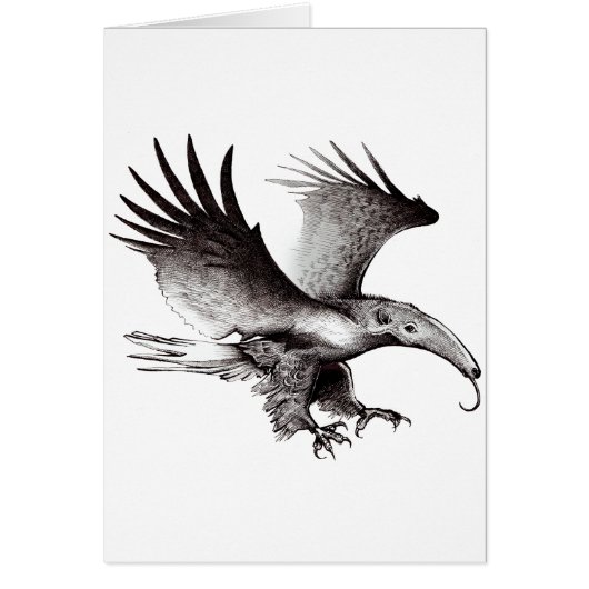 The Ant Eagle Cards (Front)