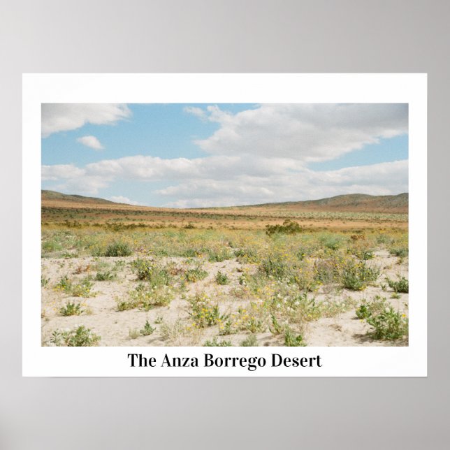 The Anza Borrego Desert Bloom Poster (Front)