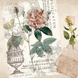 THE APOTHECARY&#39;S ROSE TISSUE PAPER