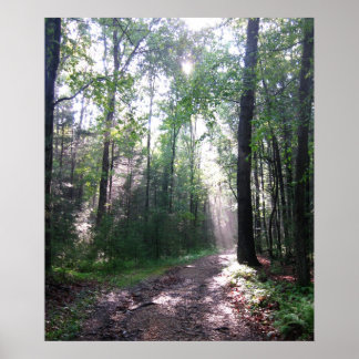 The Appalachian Trail, PA Poster