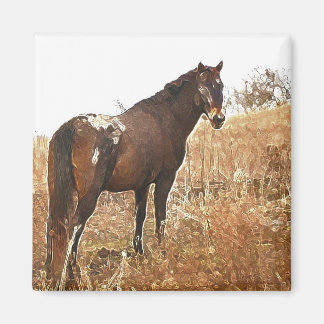 The Appy Magnet