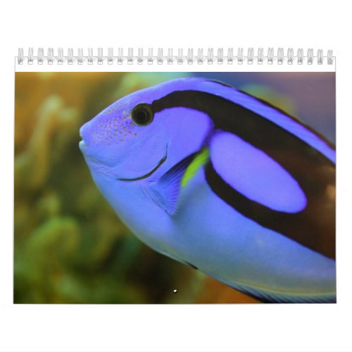 The Aquarium Calendar