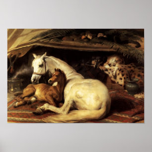 THE ARAB TENT WITH HORSES AND OTHER ANIMALS POSTER