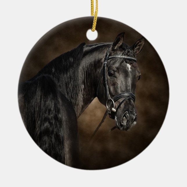 The Arabian Ceramic Ornament (Front)