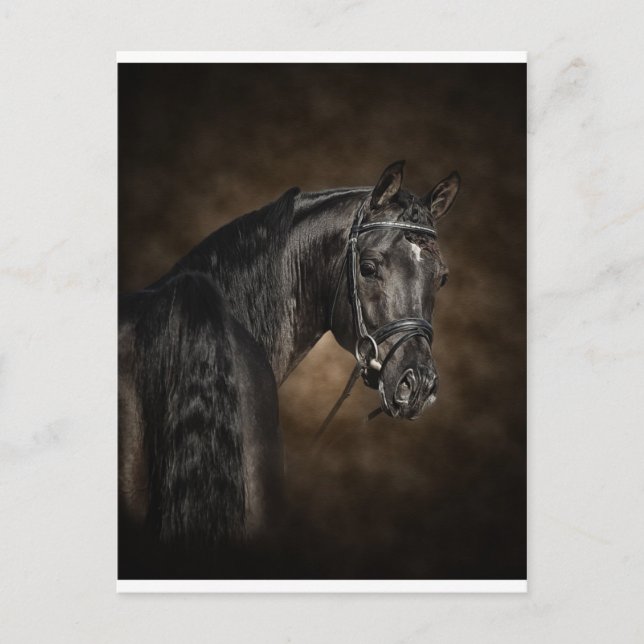 The Arabian Postcard (Front)