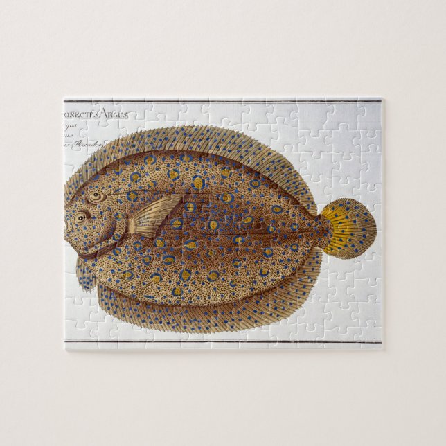 The Argus Flounder (Pleuronectes Argus) plate XLVI Jigsaw Puzzle (Horizontal)