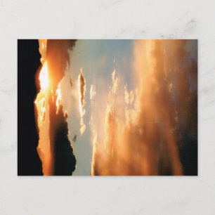 "The Arizona Show" Postcard