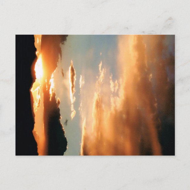 "The Arizona Show" Postcard (Front)