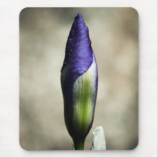 The Arriving Beauty Mousepad