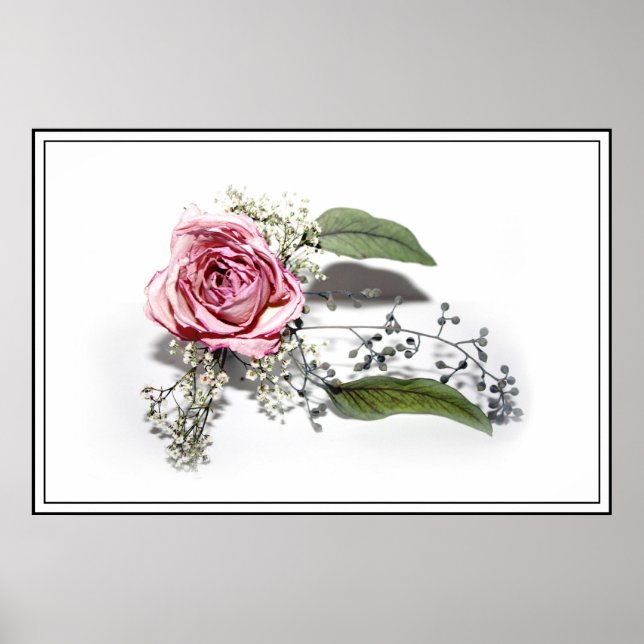 The Art of Aging Gracefully - A Pink Rose Poster (Front)