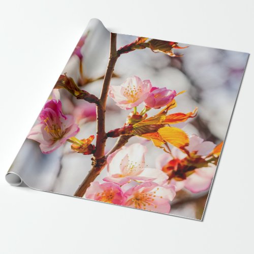 The Art Of Cherry Blossoming On A Sunny Day Wrapping Paper