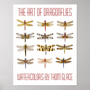 The Art Of Dragonflies Poster