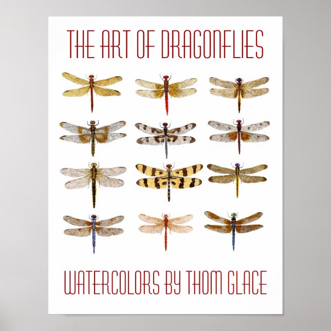 The Art Of Dragonflies Poster (Front)