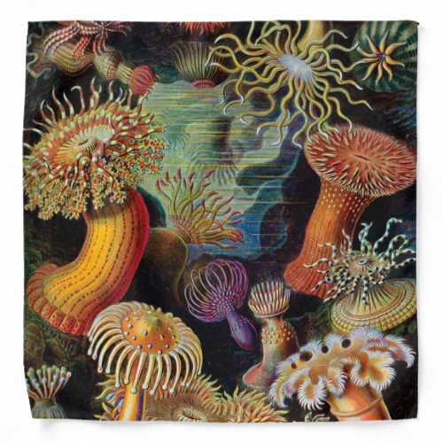 The Art of Nature by Ernst Haeckel Bandana