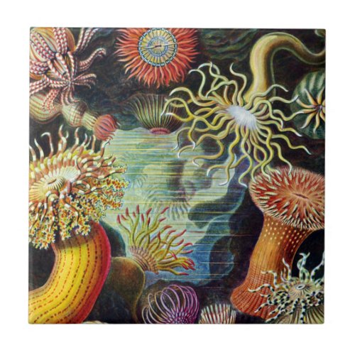 The Art of Nature by Ernst Haeckel Ceramic Tile