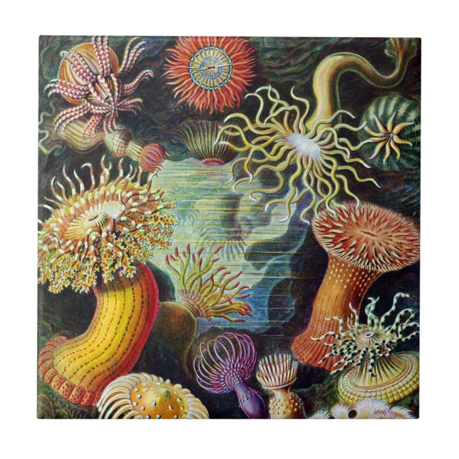 The Art of Nature by Ernst Haeckel Ceramic Tile (Front)