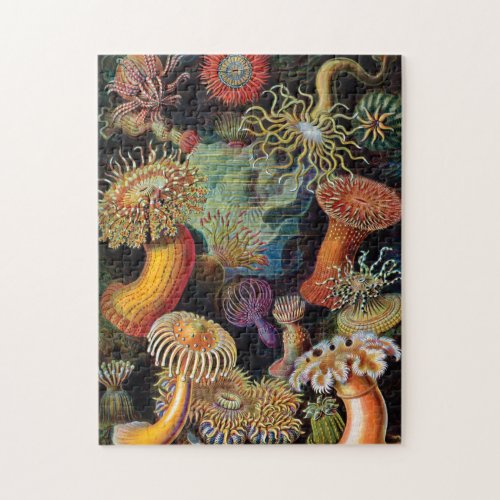 The Art of Nature by Ernst Haeckel Jigsaw Puzzle