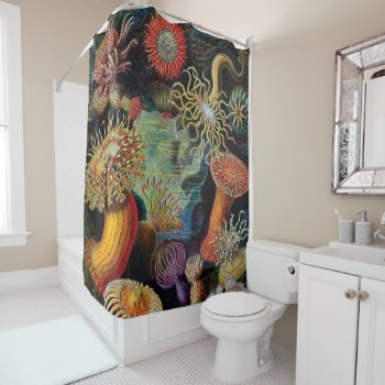The Art Of Nature By Ernst Haeckel Shower Curtain by colorfulworld at Zazzle