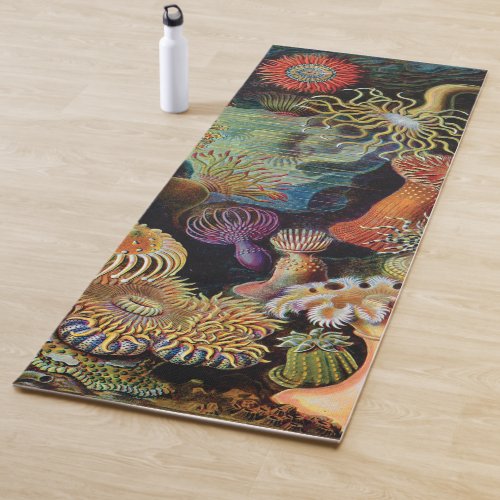 the Art of Nature by Ernst Haeckel Yoga Mat