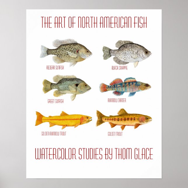 The Art of North American Fish Poster (Front)