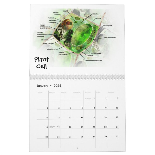 The Art of Science calendar (Jan 2026)