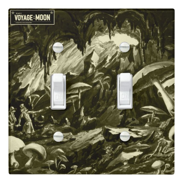 *The Art of Voyage to the Moon* Light Switch Cover (In Situ)