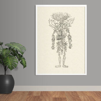 The Arteries Human Anatomy Vintage Poster by AntiqueImages at Zazzle