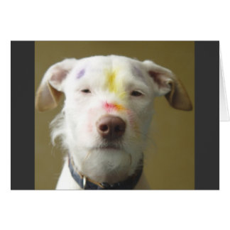 The Artistic Dog Cards