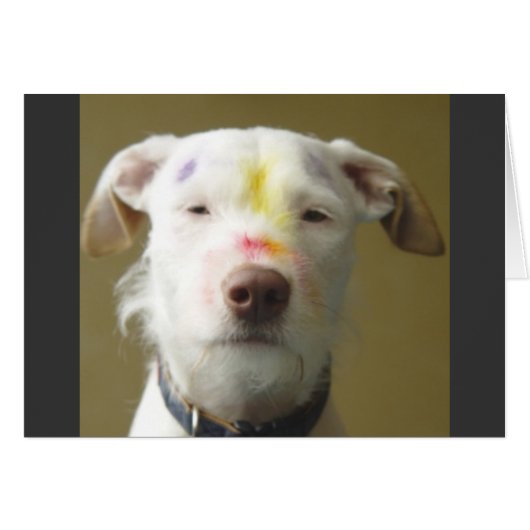 The Artistic Dog Cards (Front Horizontal)
