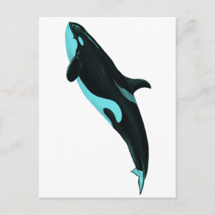 THE ASCENDING ORCA POSTCARD