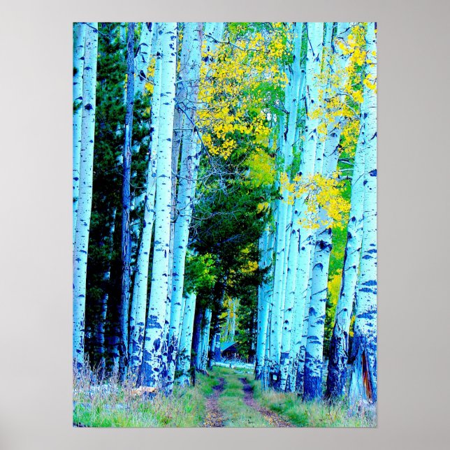 The Aspen Road Poster (Front)
