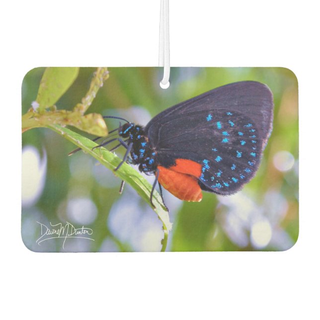 The Atala Air Freshener (Front)