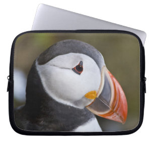 The Atlantic Puffin, a pelagic seabird Laptop Sleeve
