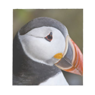 The Atlantic Puffin, a pelagic seabird Notepad
