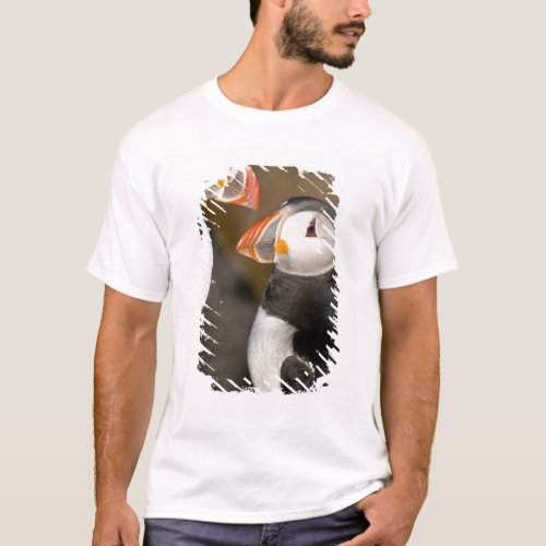 The Atlantic Puffin a pelagic seabird shown T_Shirt